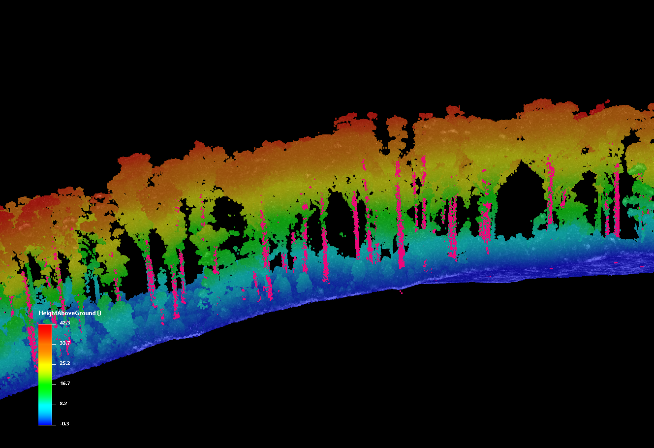 Forestry point-cloud scan — Wrangell